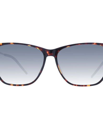 Brown Acetate Sunglasses